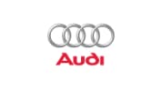 Выполняем удаление катализатора на автомобилях Audi