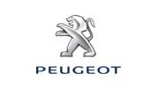 Выполняем удаление катализатора на автомобилях Peugeout